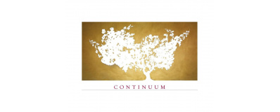 Continuum Estate Novicium 2019 750ml