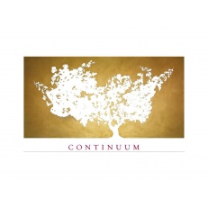 Continuum Estate Novicium 2019