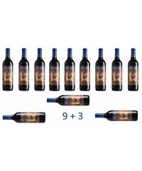 Degustační balíček Red Wine Party Pack 9+3