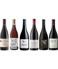 Degustační balíček In Pinot We Trust