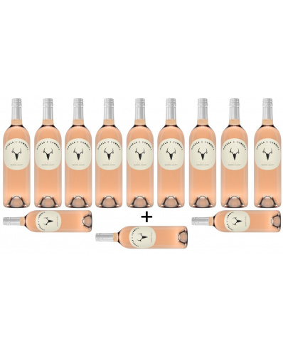 Bazén Tasting Pack Angels & Cowboys Rosé 2022 9+3