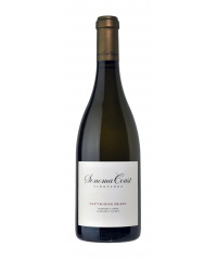 Bílé víno SCV Sauvignon Blanc 2022