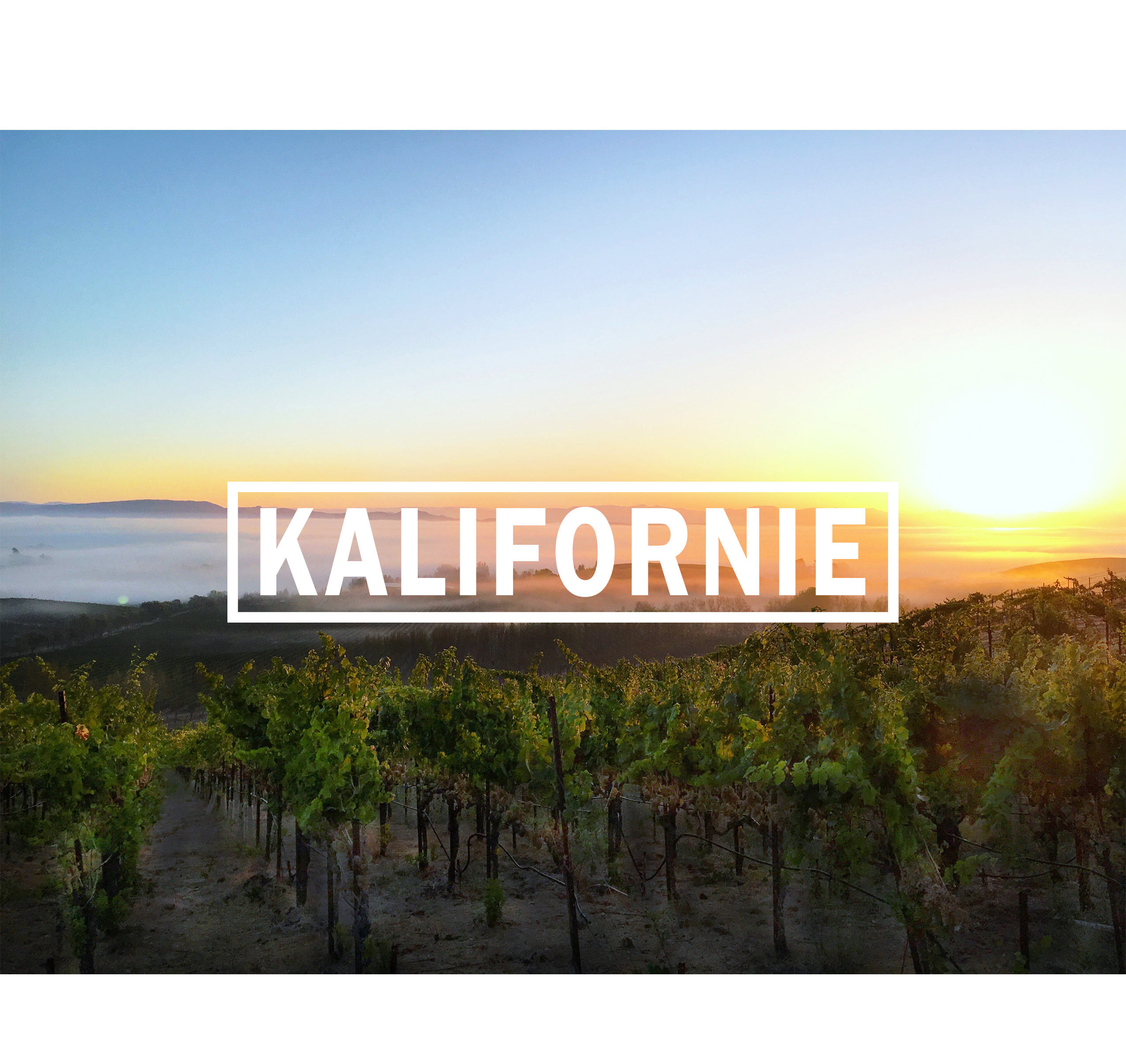 O Kalifornii - CalifornianWines.cz