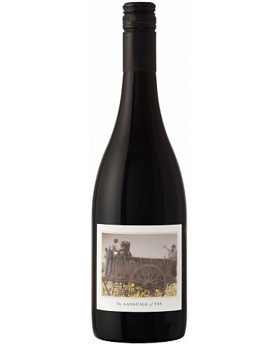 The Language of Yes Syrah 2022 750 ml
